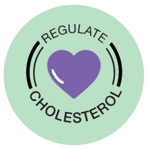 <p>Regulate Cholesterol</p>